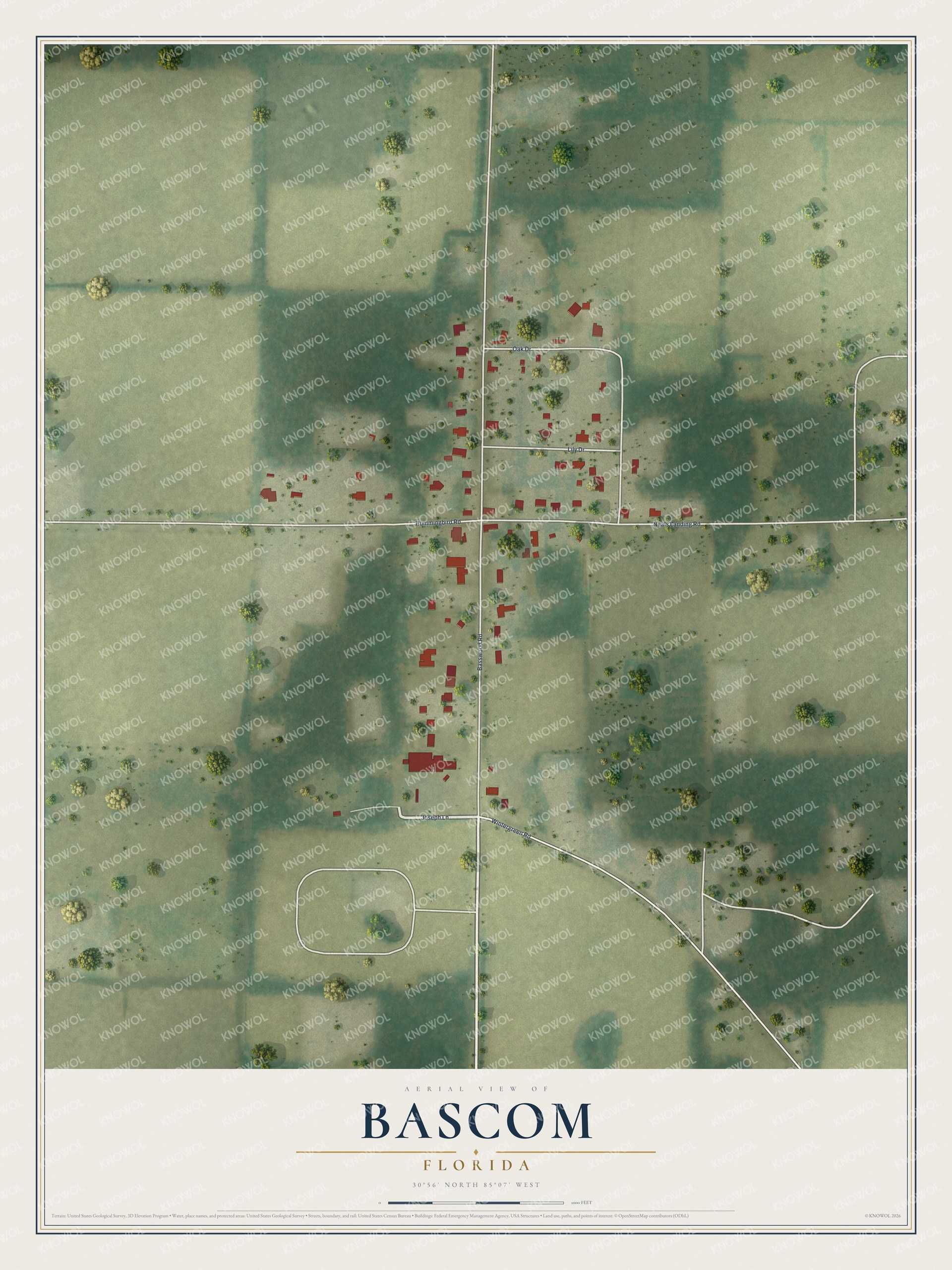 Watermarked full-map preview of Bascom, Florida