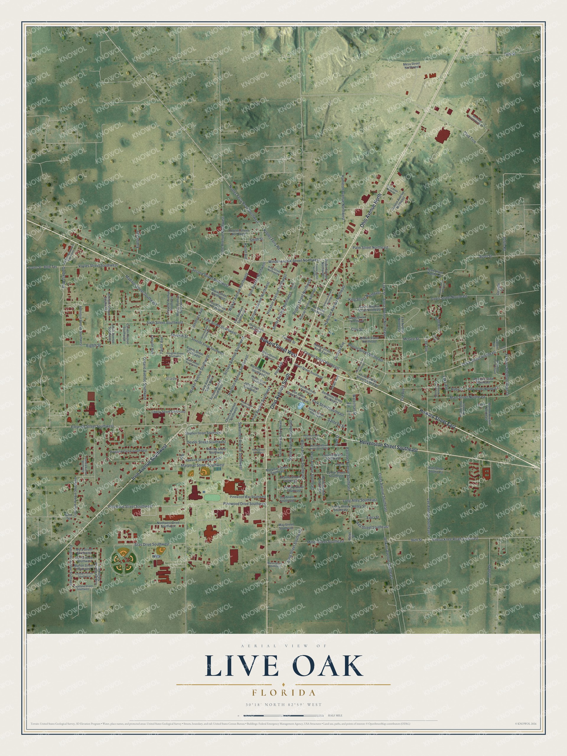 Watermarked full-map preview of Live Oak, Florida