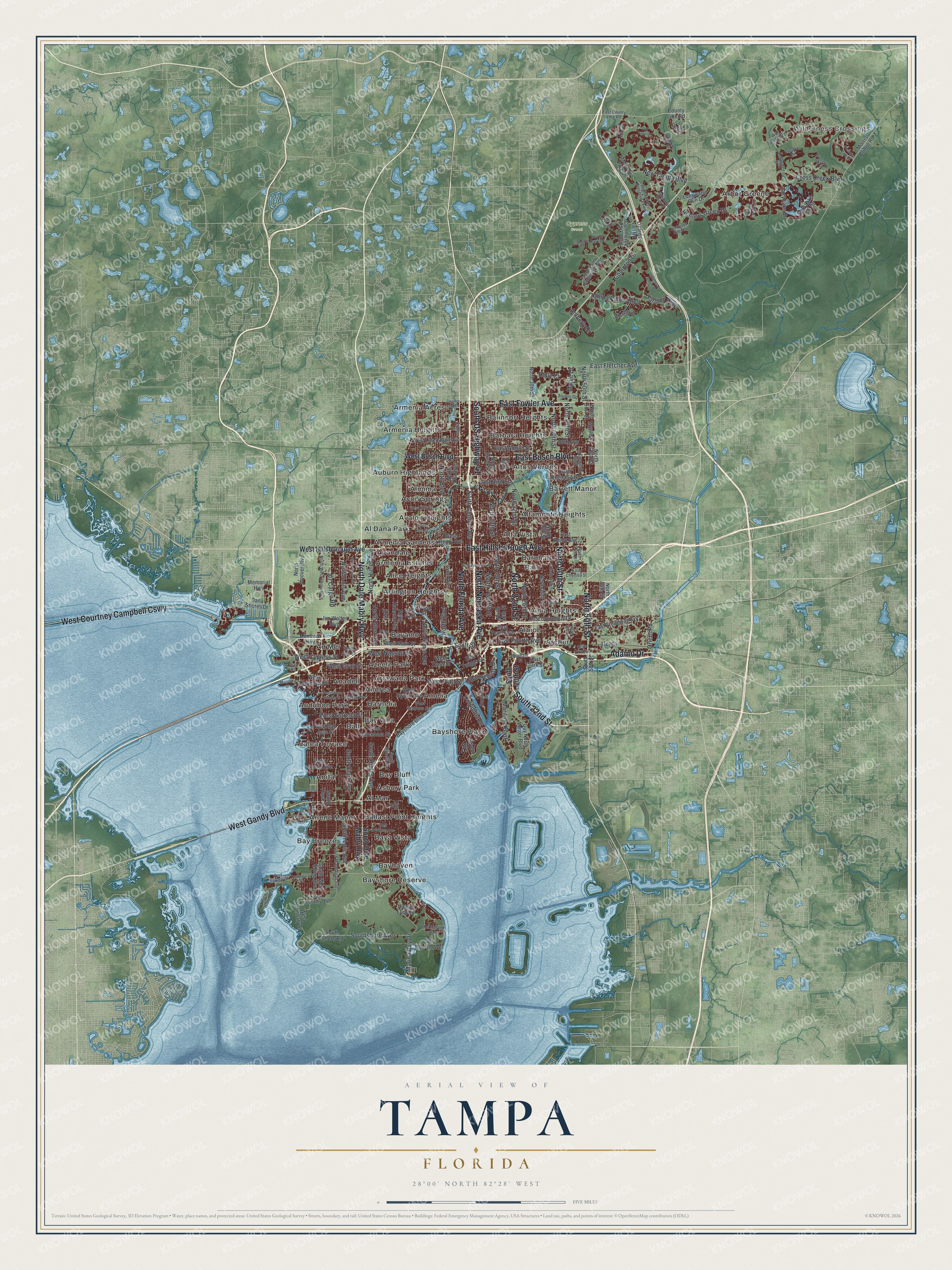 Watermarked full-map preview of Tampa, Florida