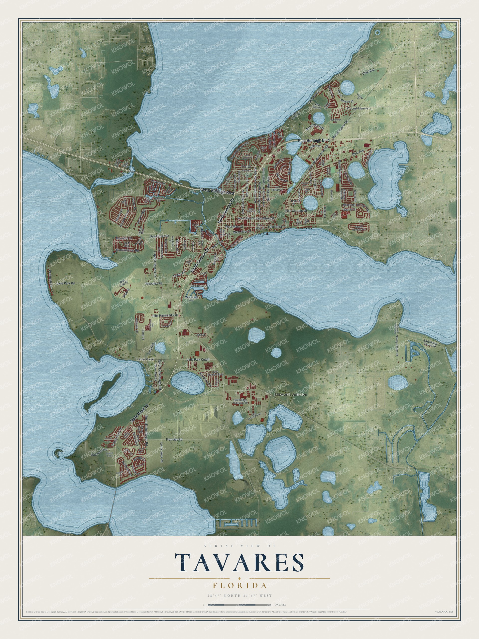 Watermarked full-map preview of Tavares, Florida