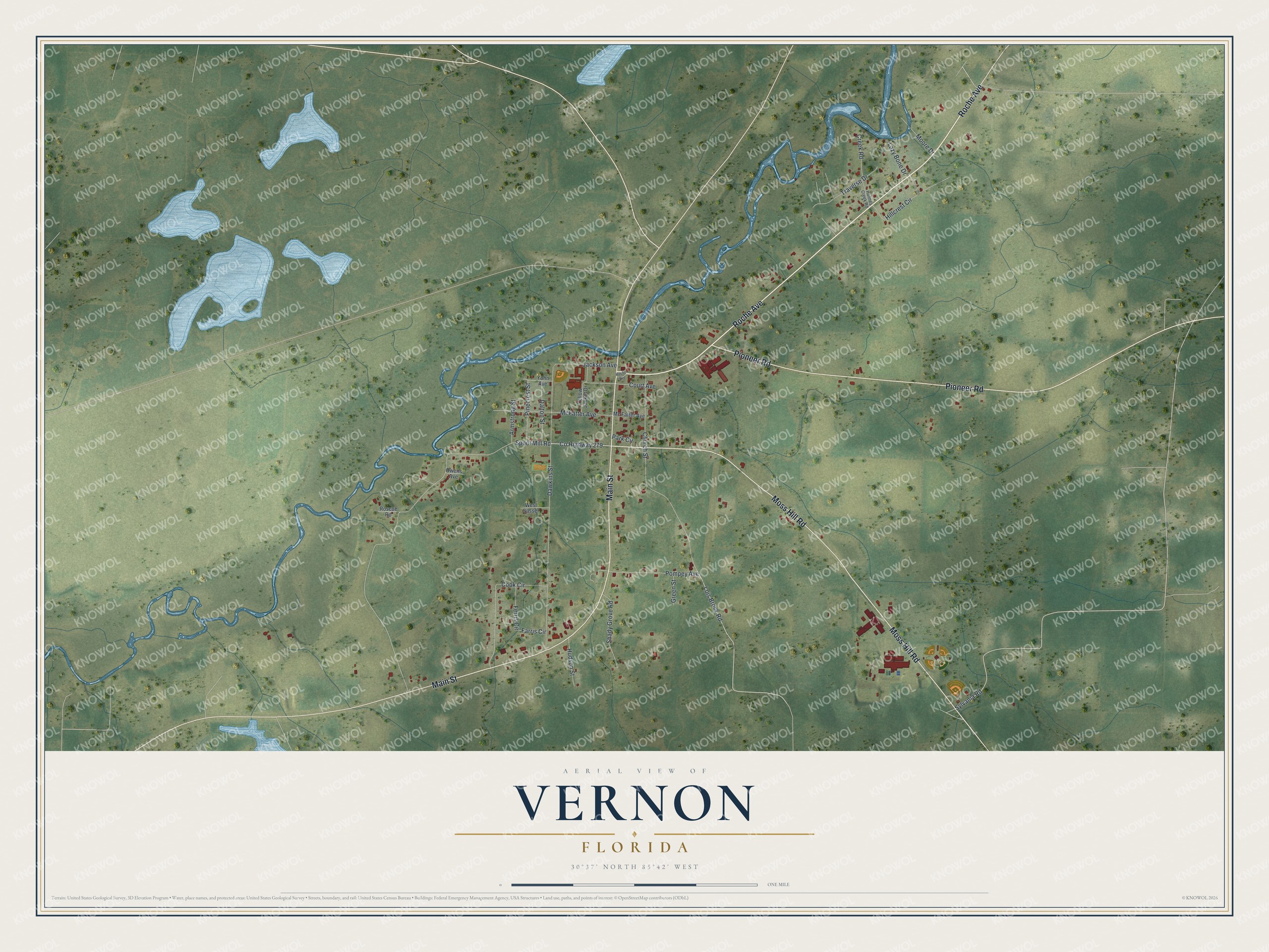 Watermarked full-map preview of Vernon, Florida