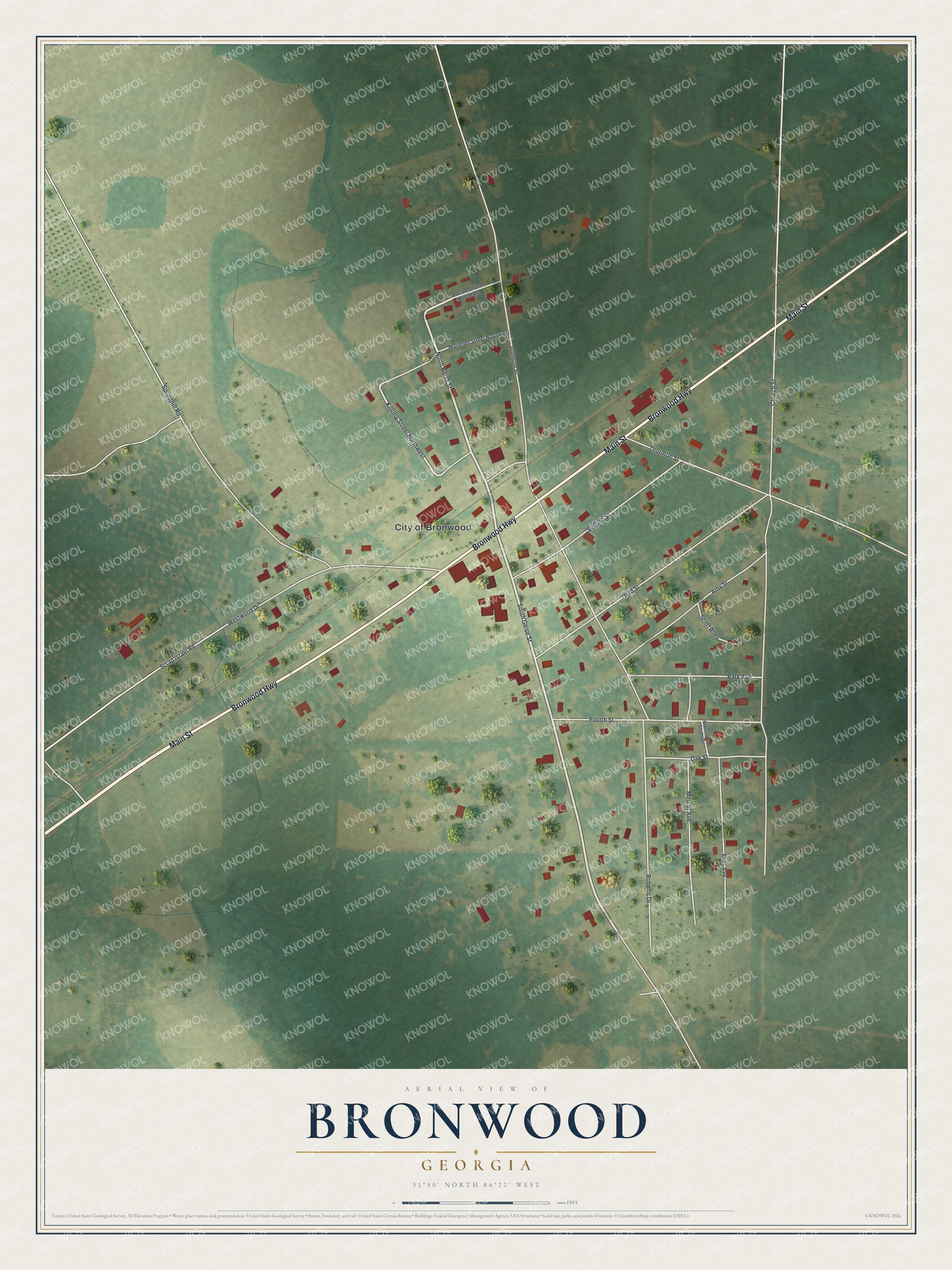 Watermarked full-map preview of Bronwood, Georgia