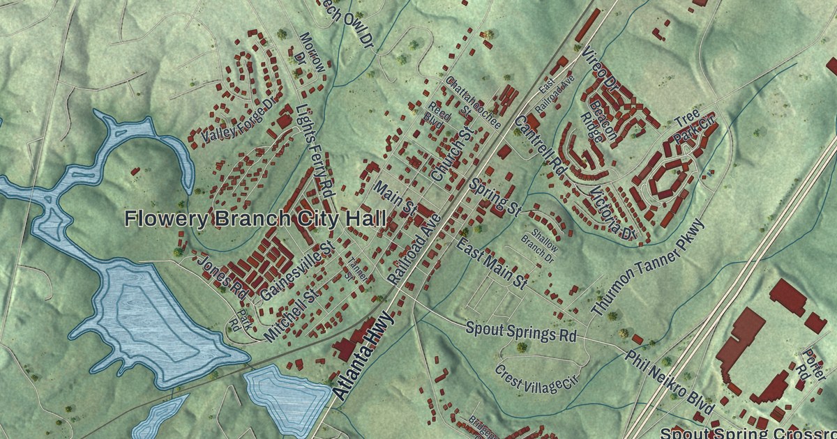 Map of Flowery Branch, Georgia