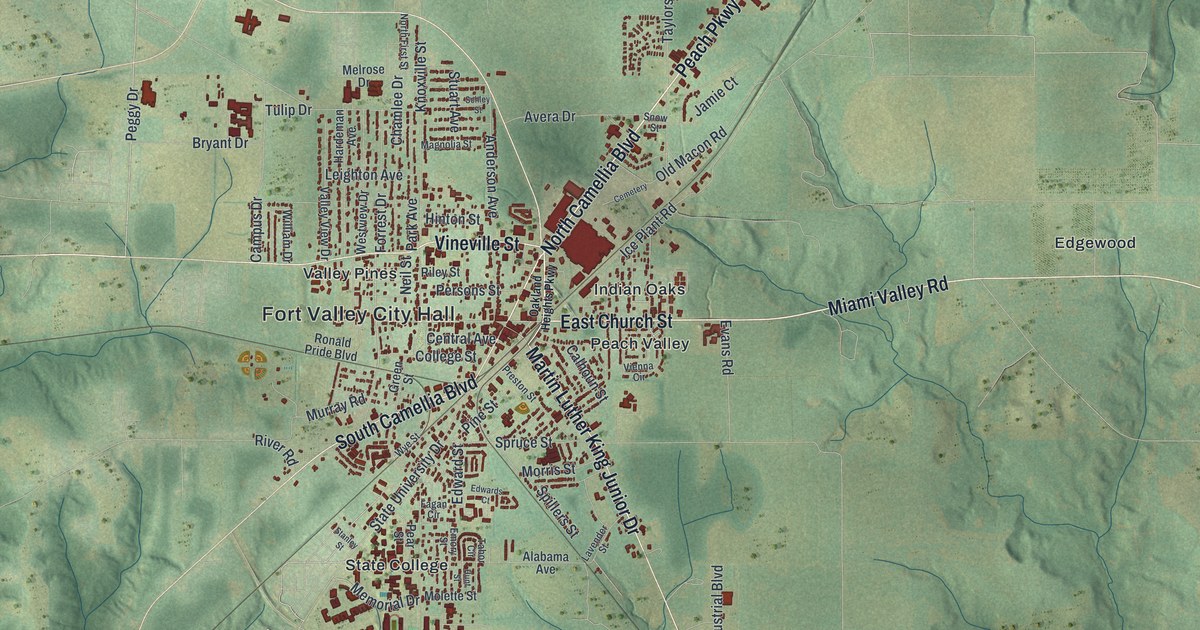Map of Fort Valley, Georgia