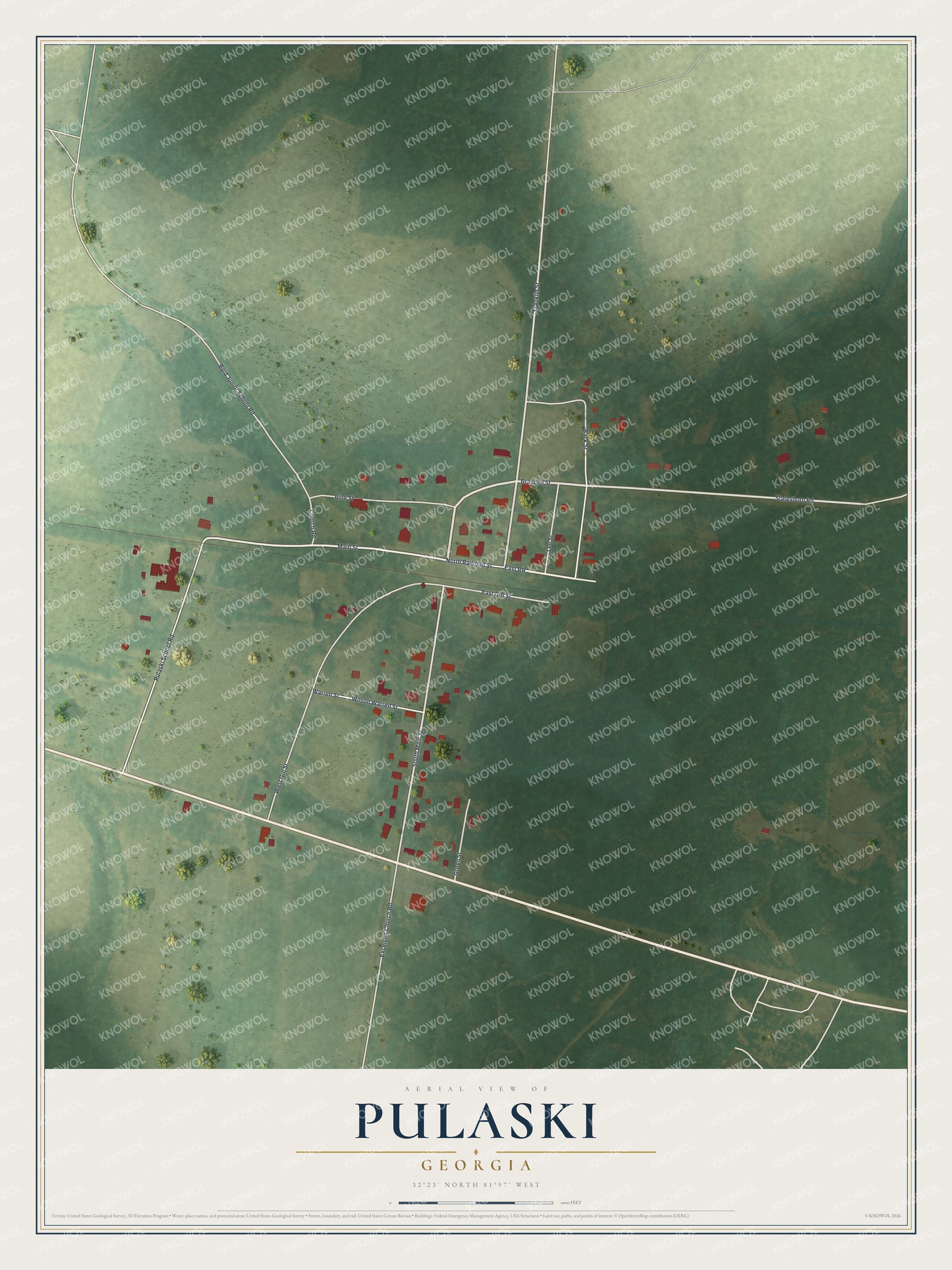 Watermarked full-map preview of Pulaski, Georgia