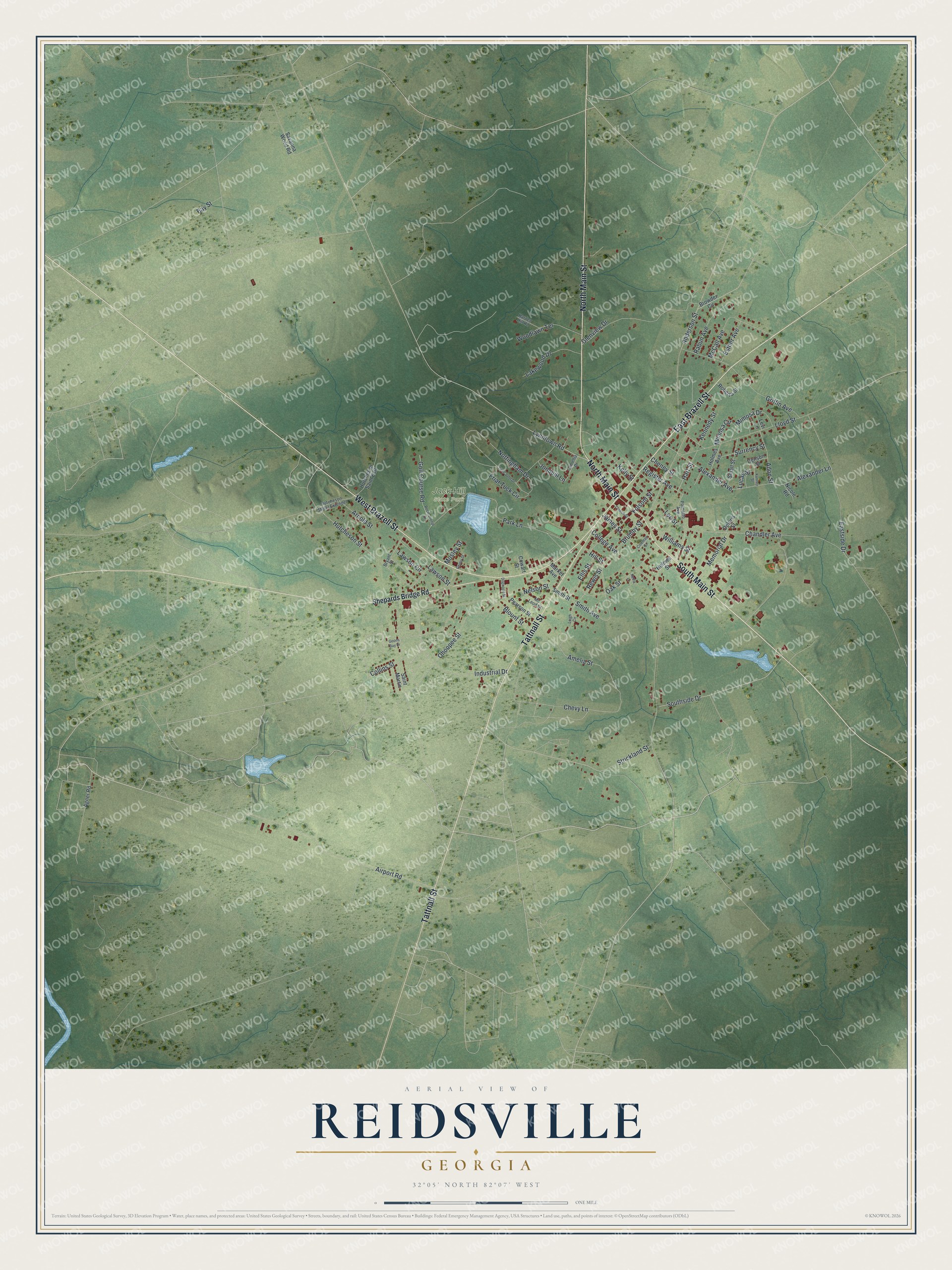 Watermarked full-map preview of Reidsville, Georgia