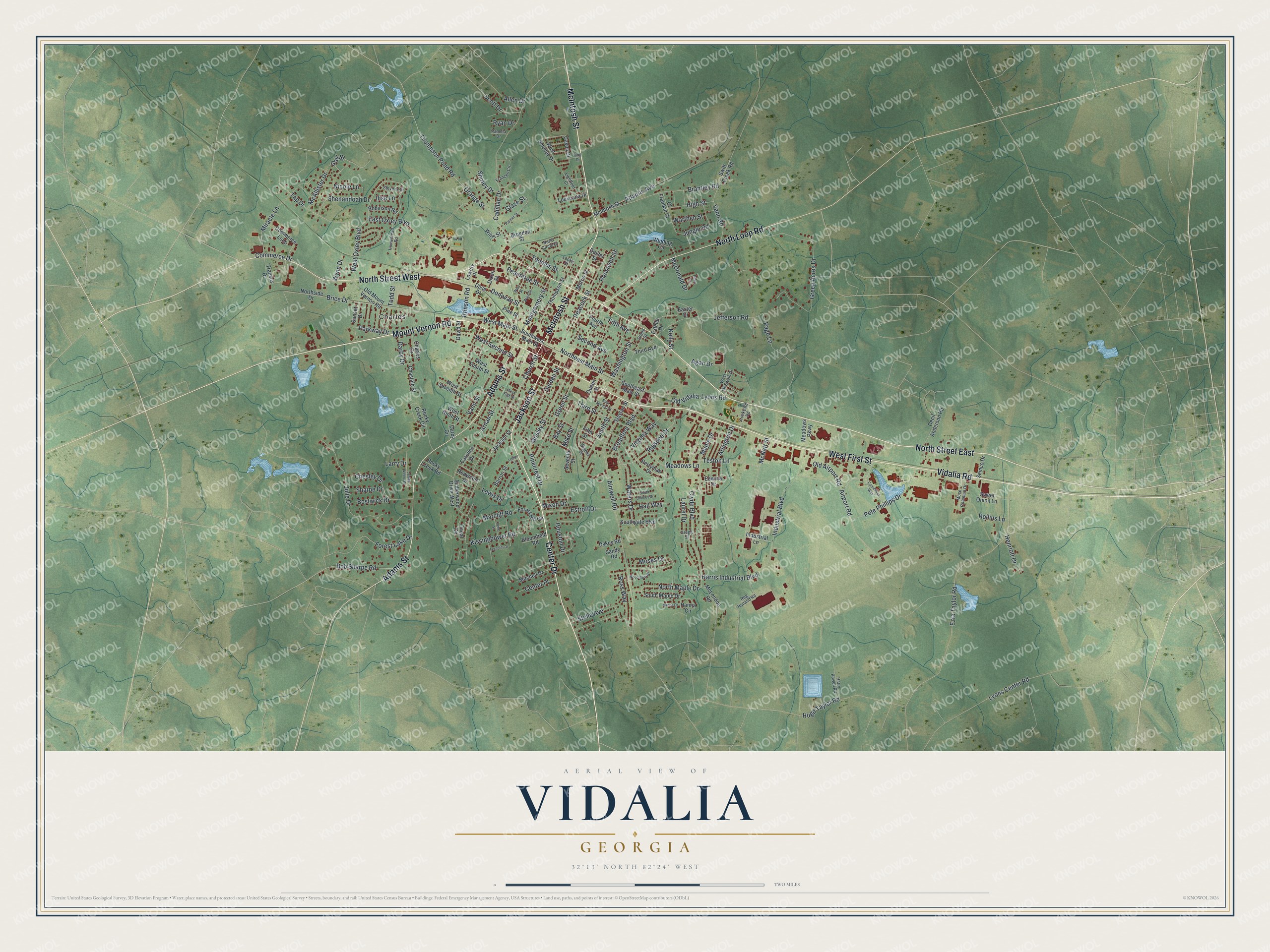 Watermarked full-map preview of Vidalia, Georgia