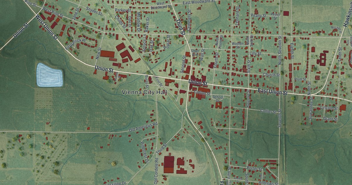 Map of Vienna, Georgia