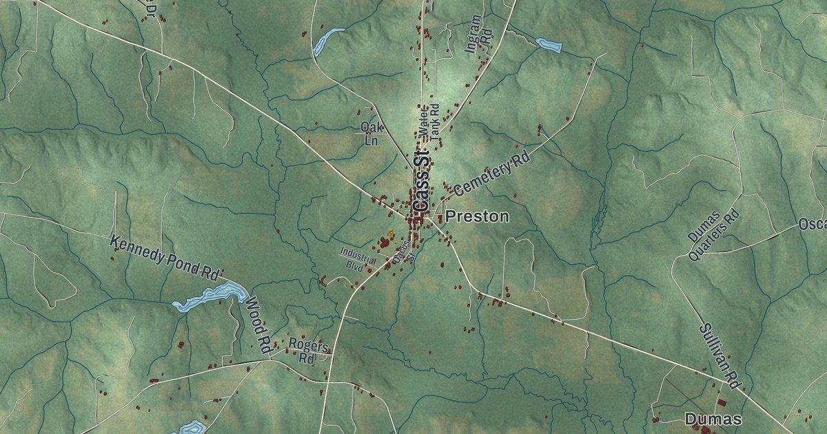 Map of Webster County, Georgia