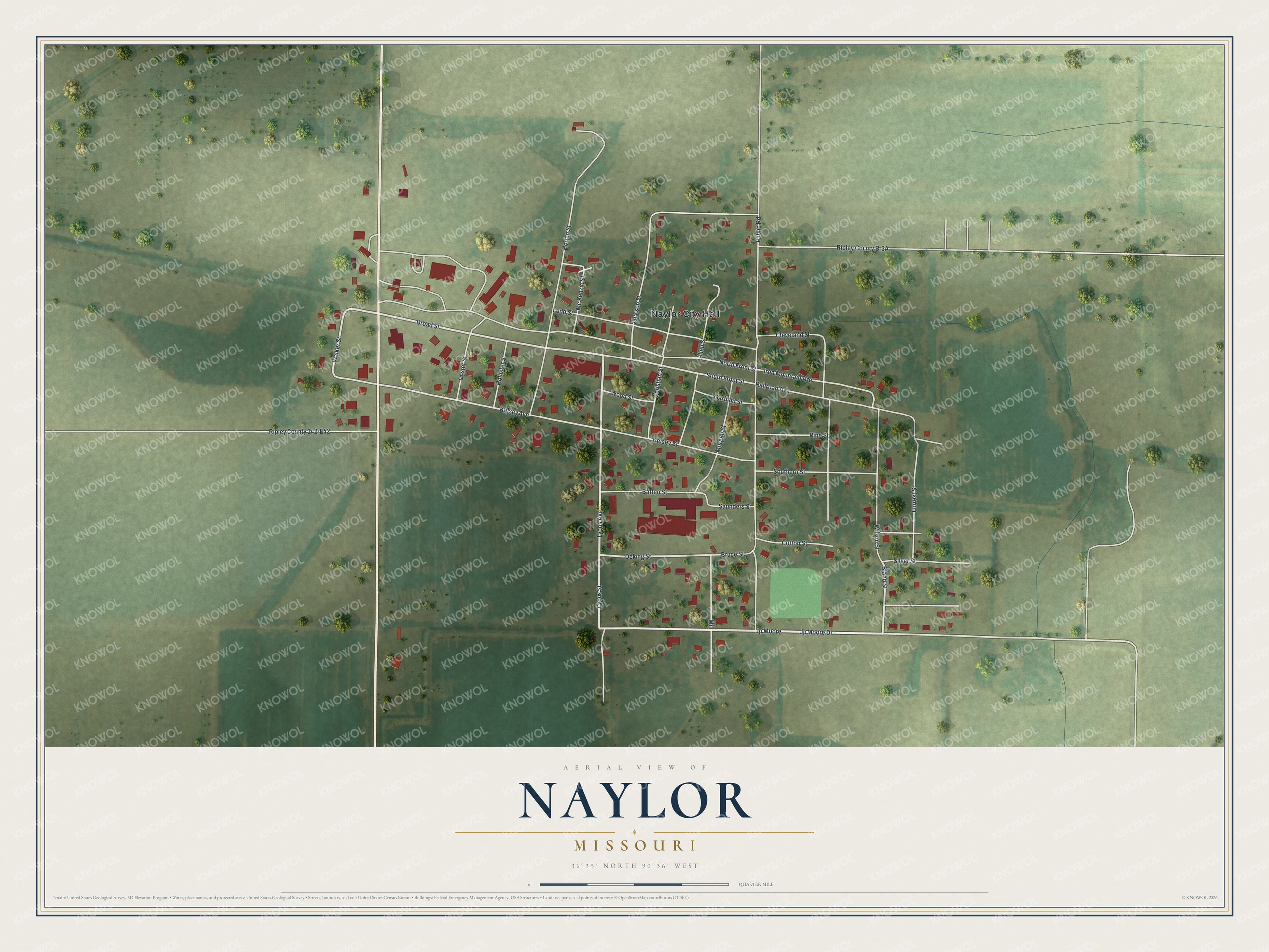 Watermarked full-map preview of Naylor, Missouri