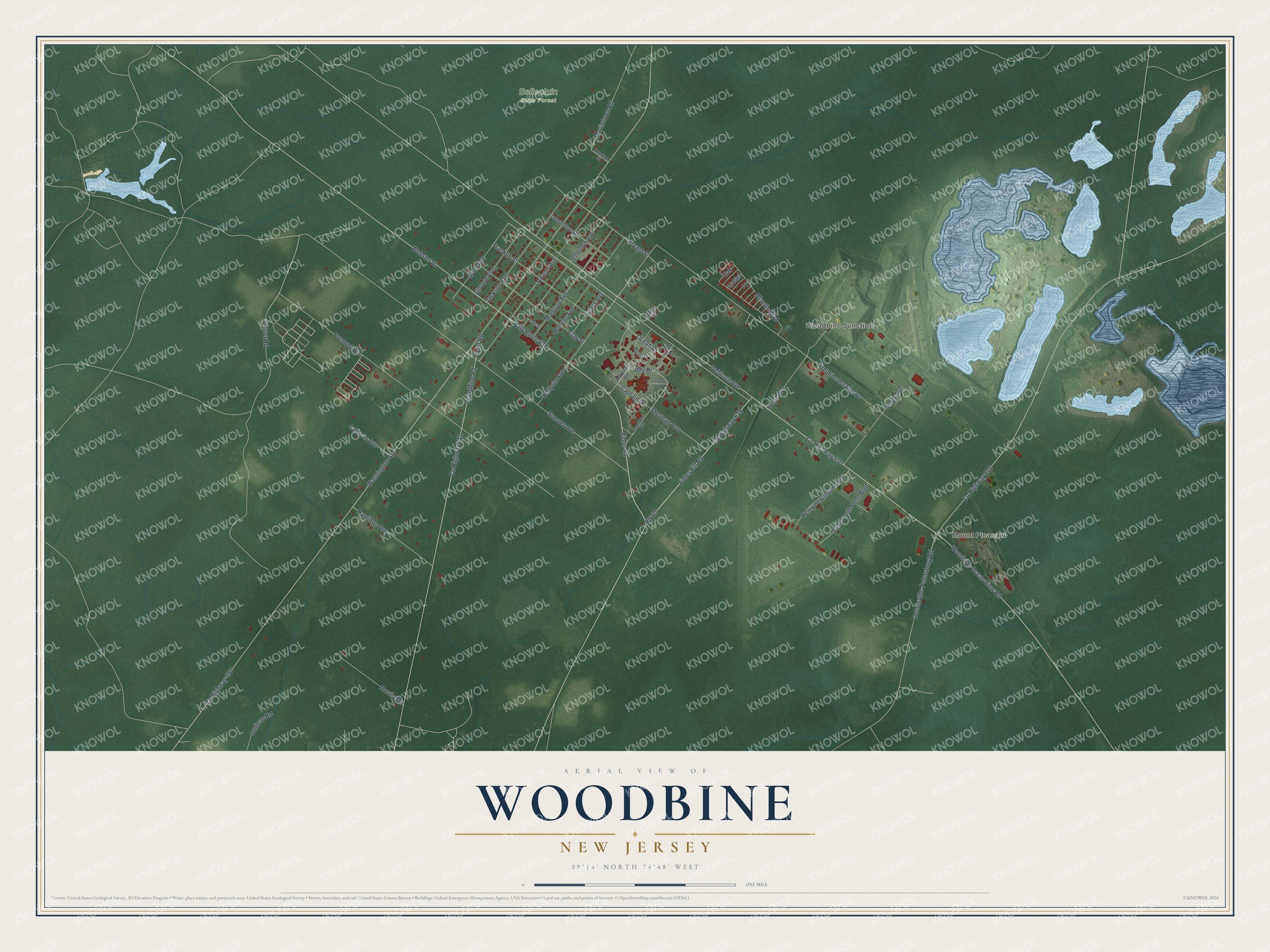 Detailed map of Woodbine, New Jersey, showing streets, buildings, neighborhoods, and parks