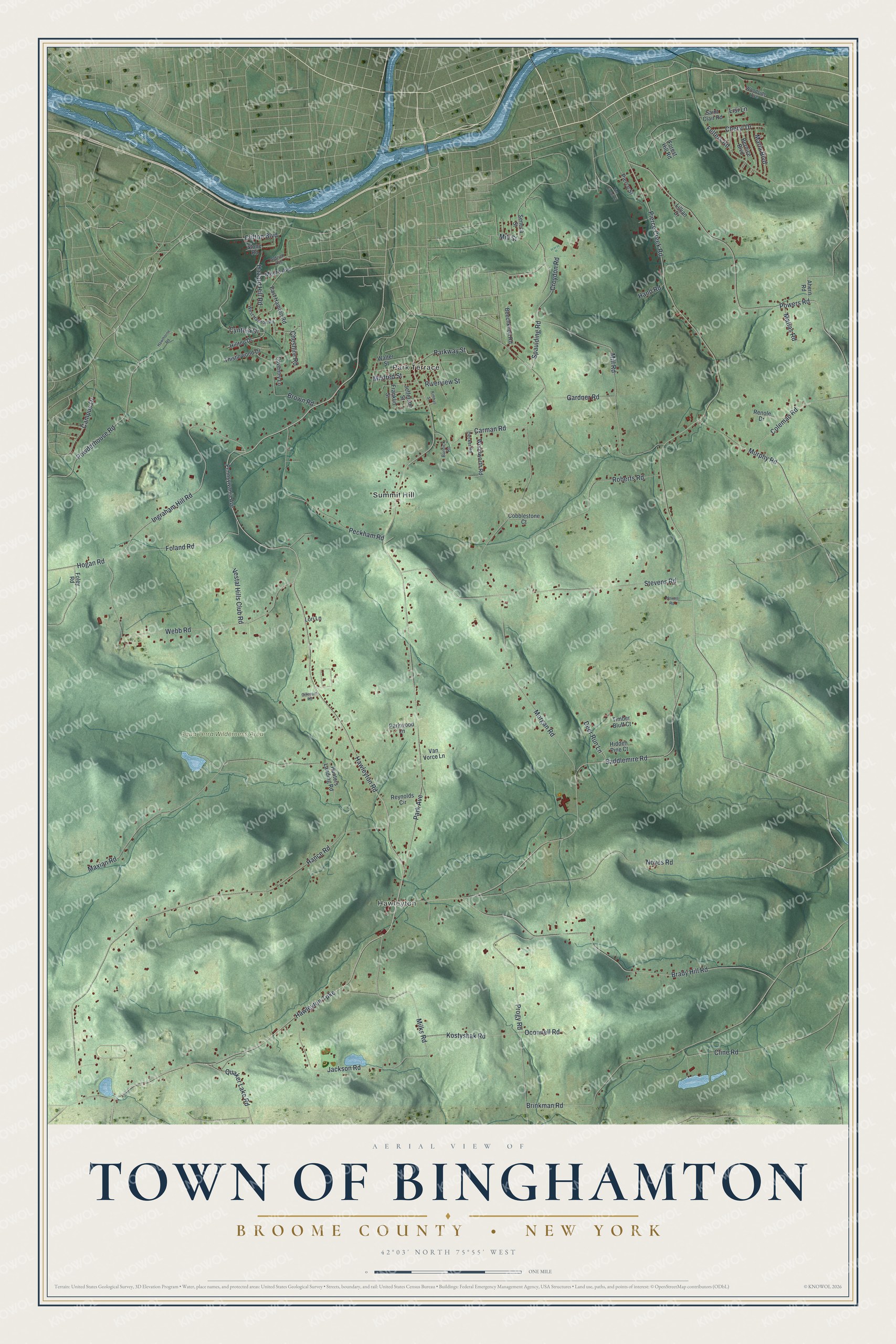 Detailed map of the Town of Binghamton, Broome County, New York, showing streets, buildings, and neighborhoods