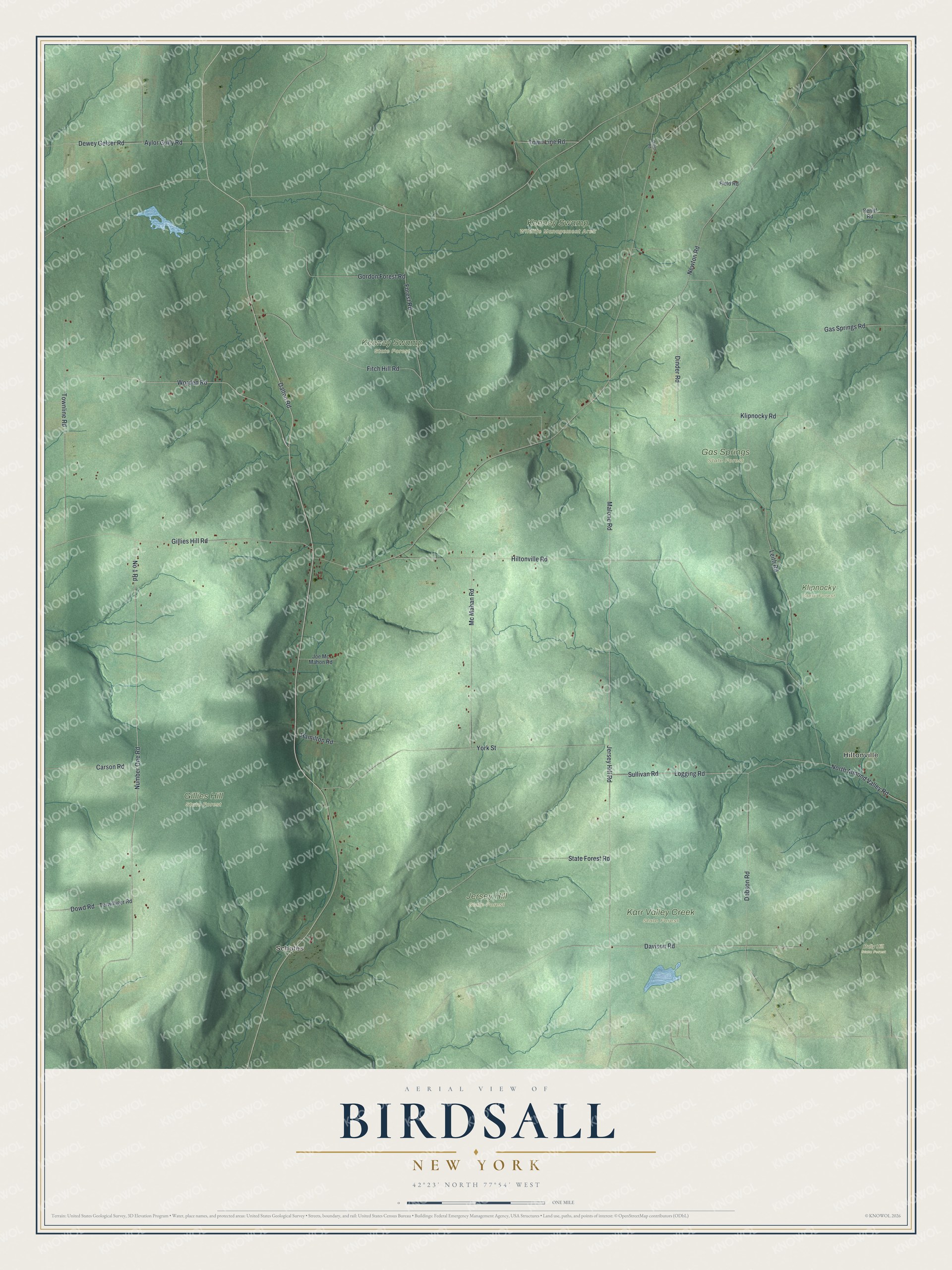 Watermarked full-map preview of Birdsall, New York