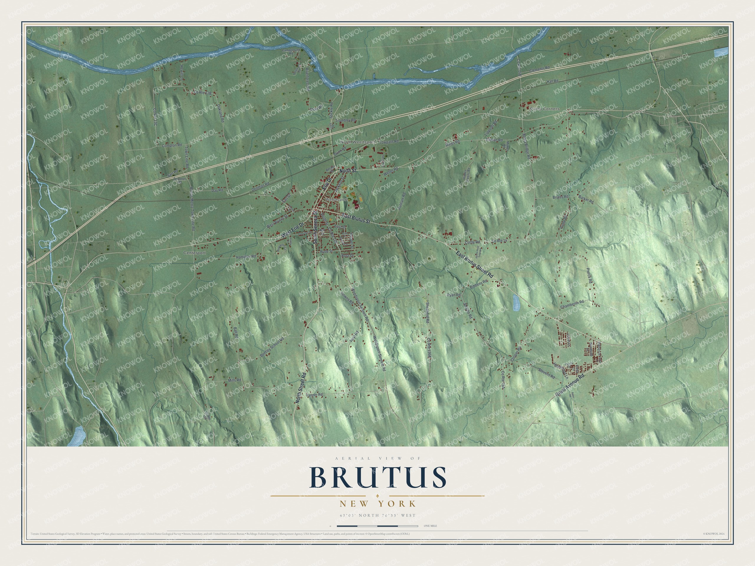Watermarked full-map preview of Brutus, New York
