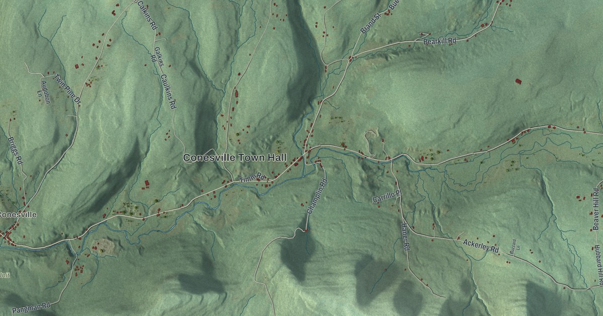 Map of Conesville, New York