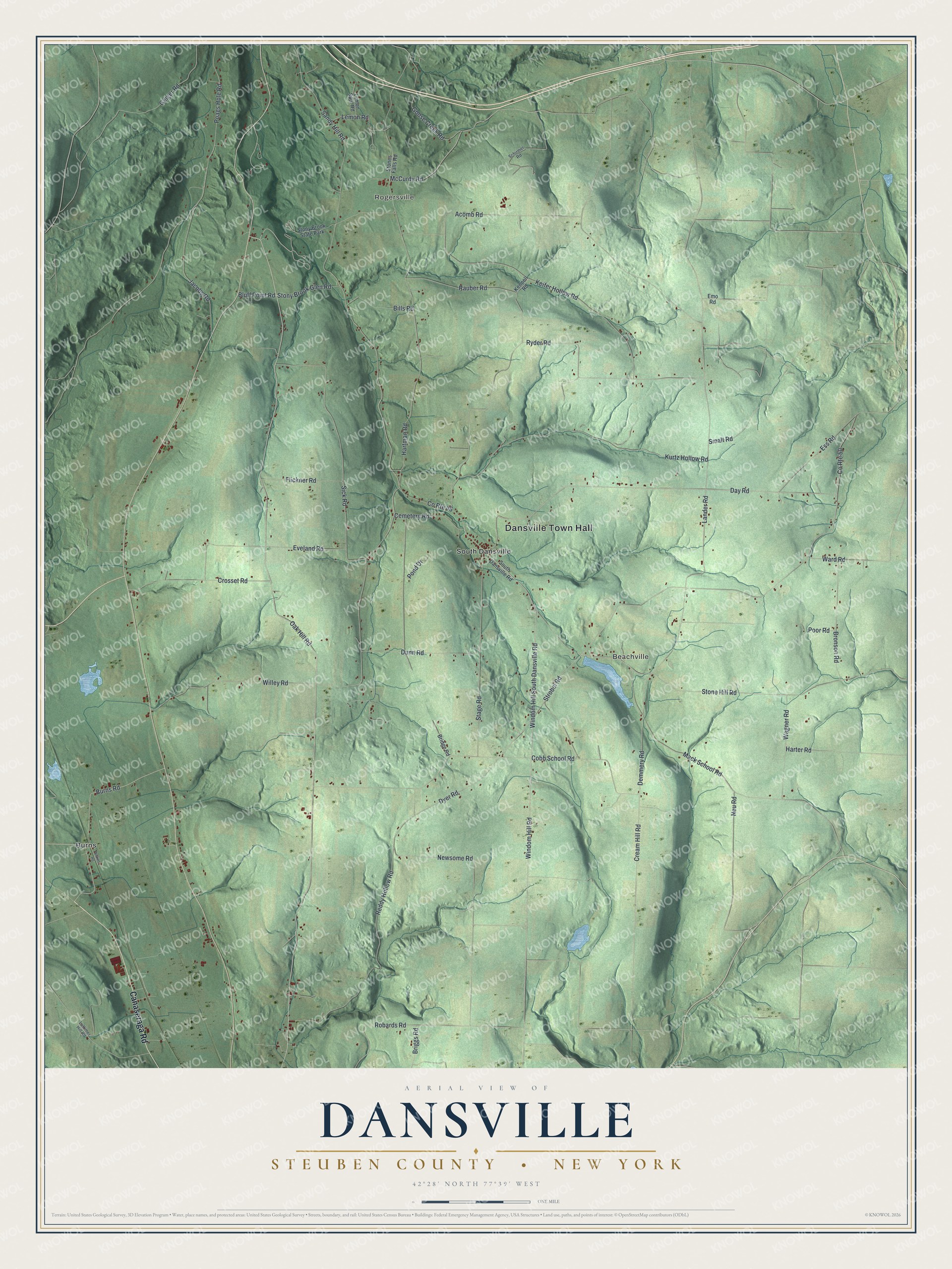 Detailed map of Dansville, Steuben County, New York, showing streets, buildings, and neighborhoods