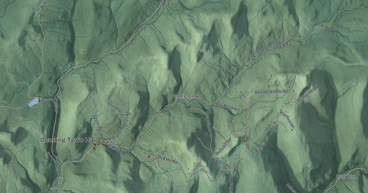 Map of Denning, New York
