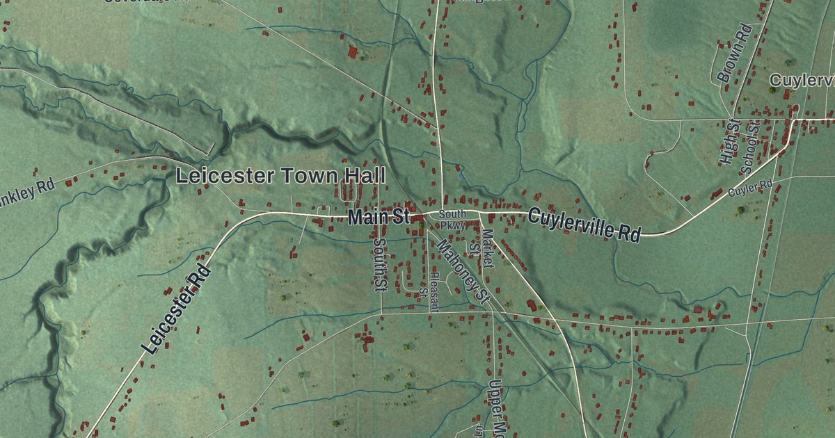 Map of Leicester, New York