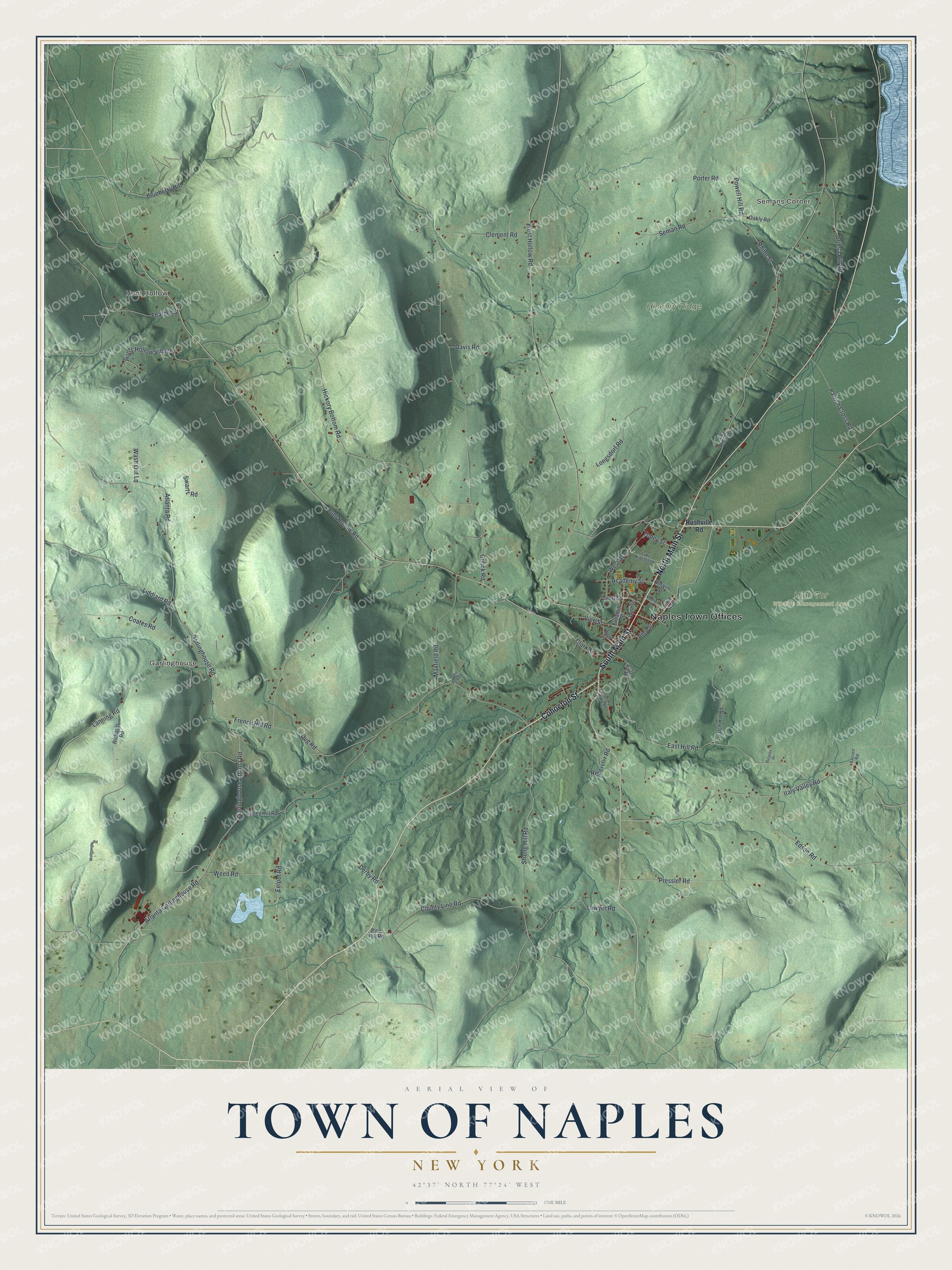 Watermarked full-map preview of Naples, New York
