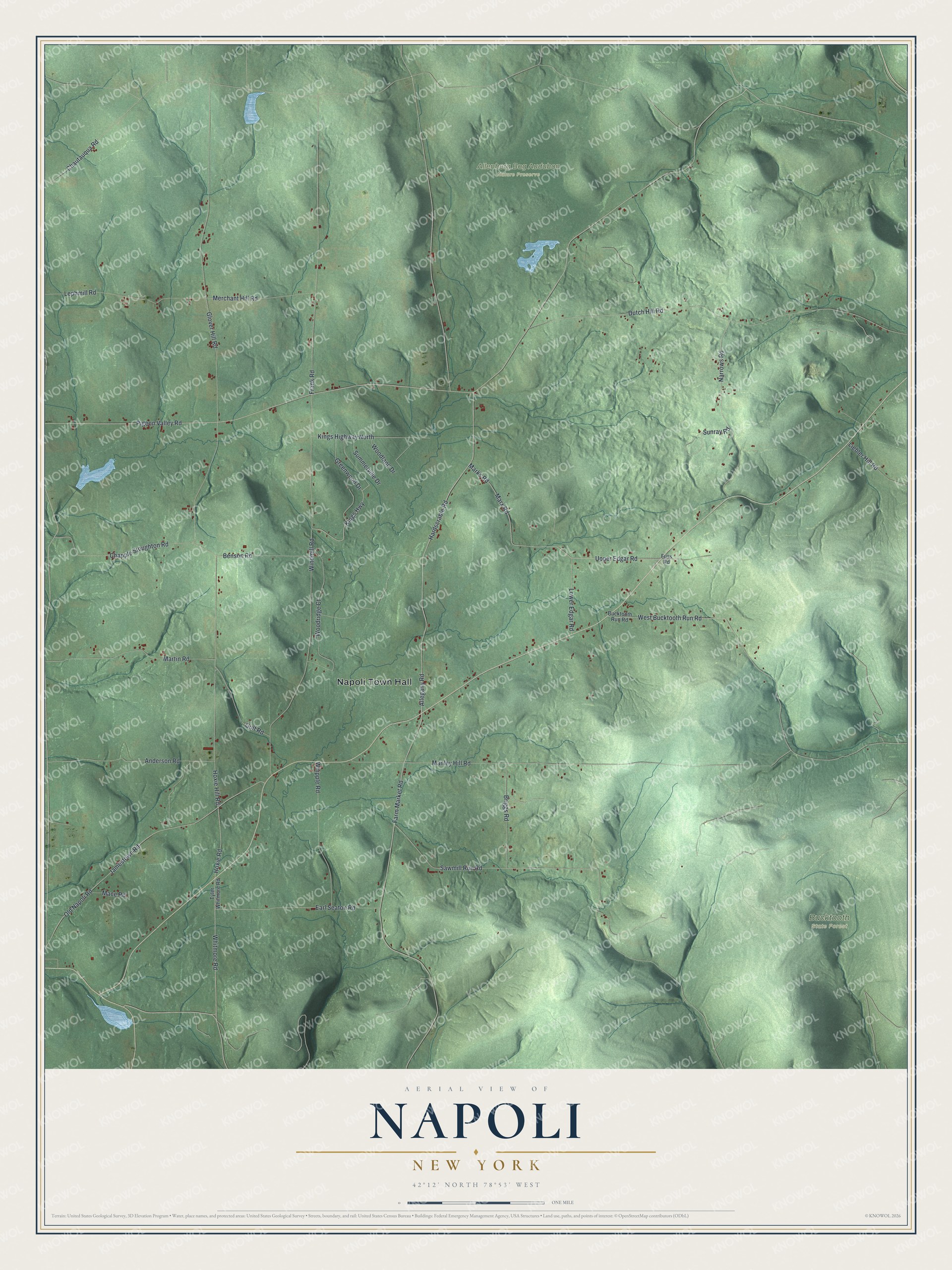 Watermarked full-map preview of Napoli, New York