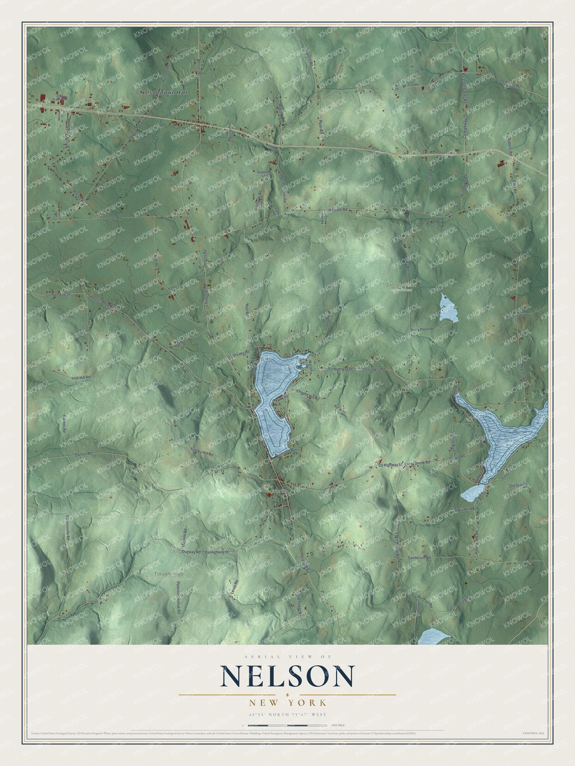 Watermarked full-map preview of Nelson, New York