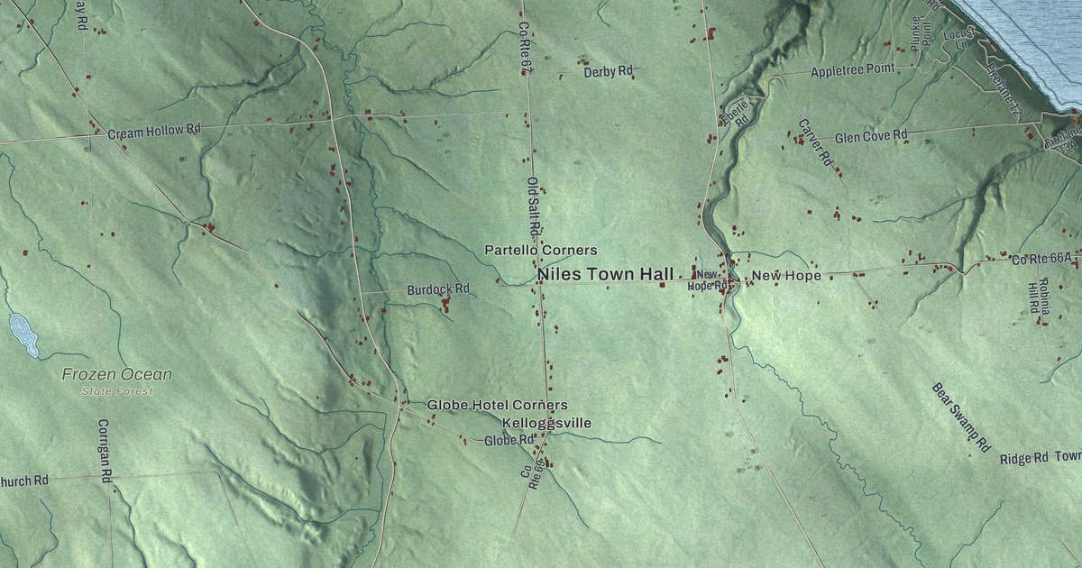 Map of Niles, New York