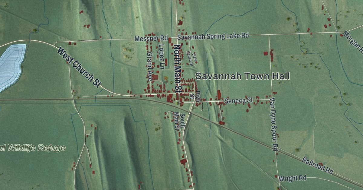 Map of Savannah, New York