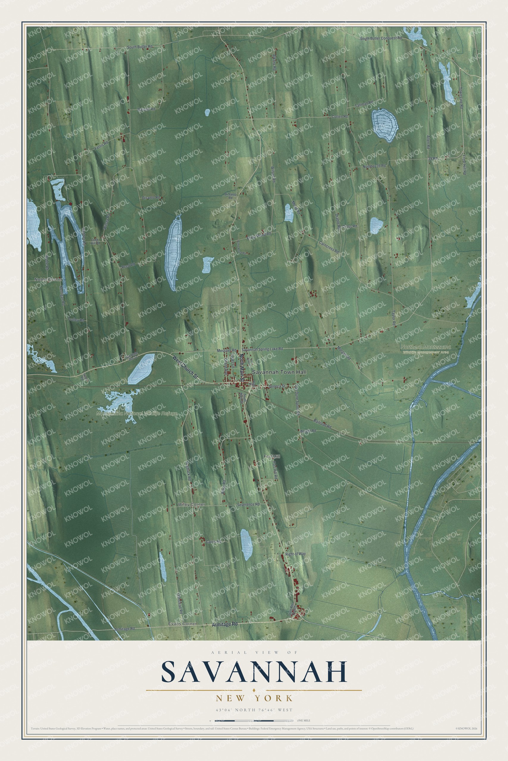Watermarked full-map preview of Savannah, New York