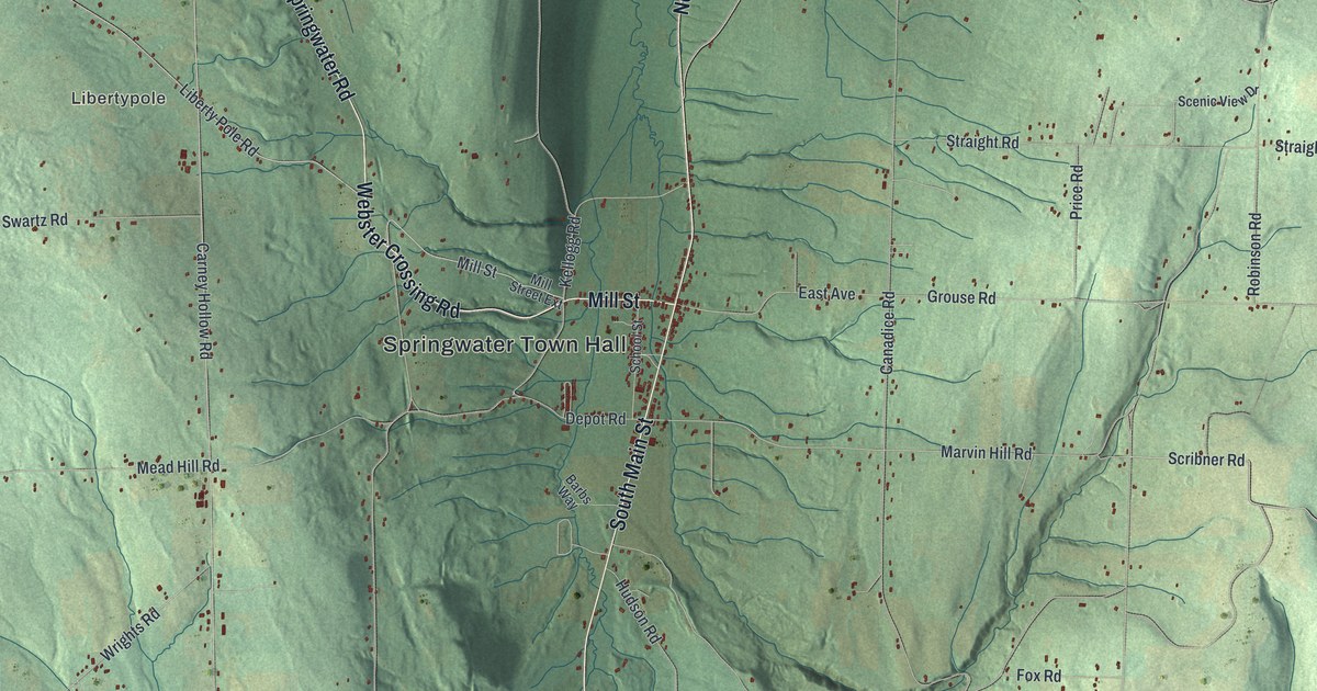 Map of Springwater, New York