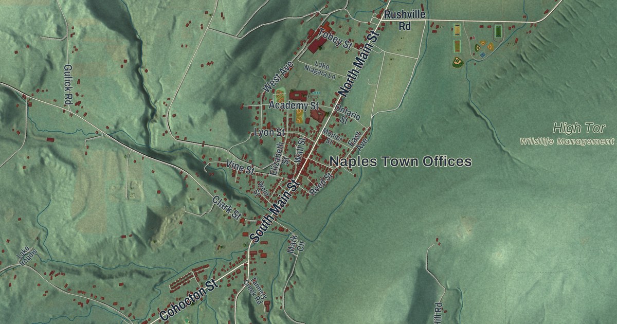 Map of the Town of Naples, New York
