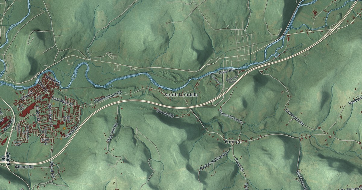 Map of the Town of Sidney, New York