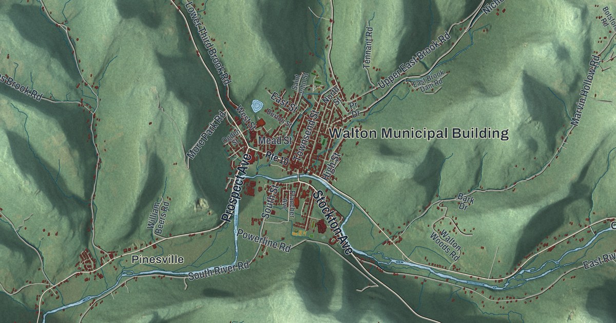 Map of the Town of Walton, New York