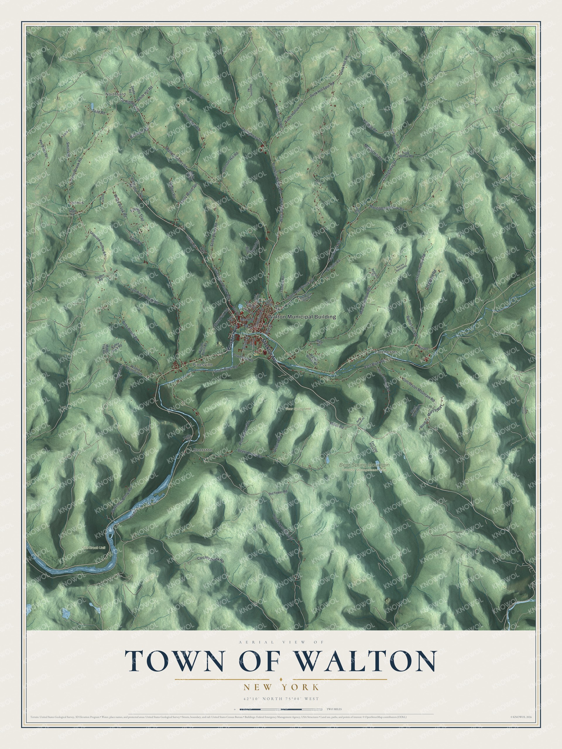 Watermarked full-map preview of Walton, New York