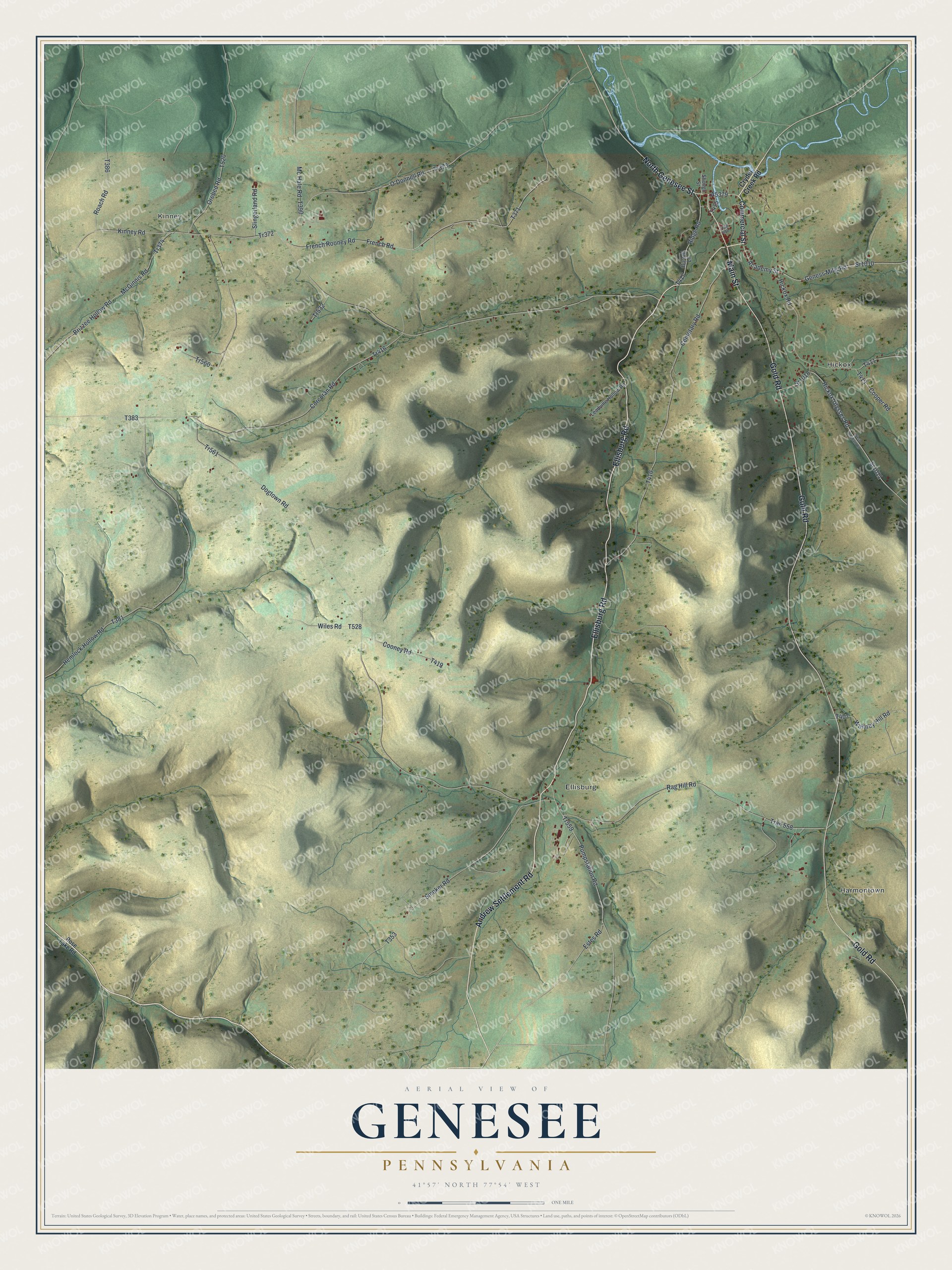 Map of Genesee Township in Potter County, Pennsylvania, showing shaded hills, the village around Main Street and Ellisburg Road running south