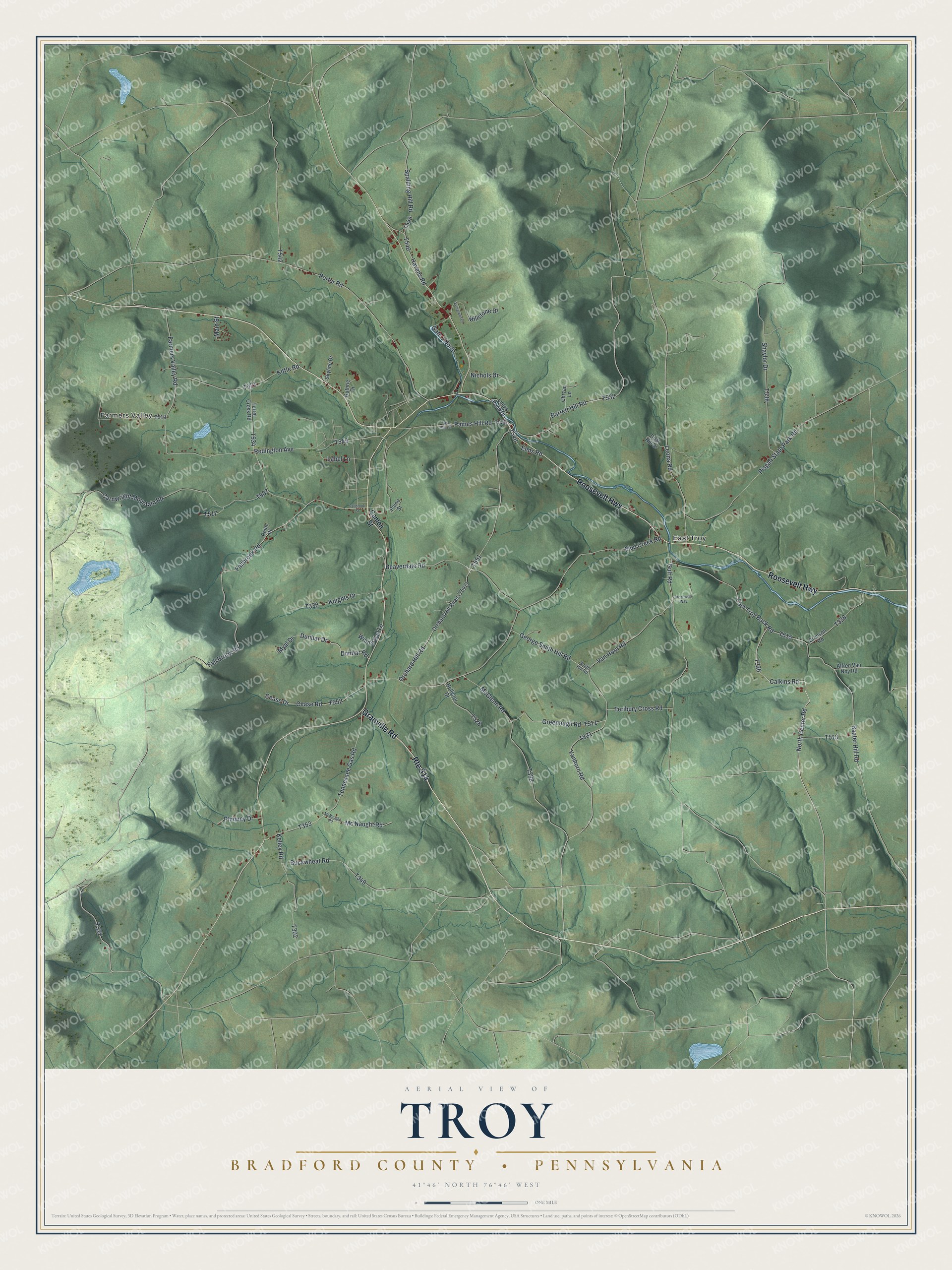 Watermarked full-map preview of Troy, Pennsylvania