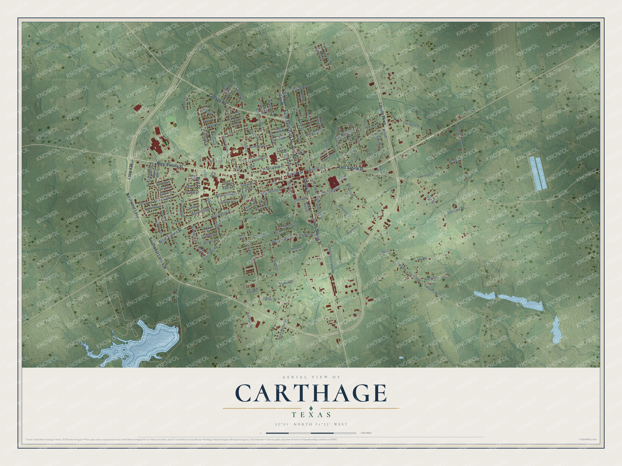 Watermarked full-map preview of Carthage, Texas