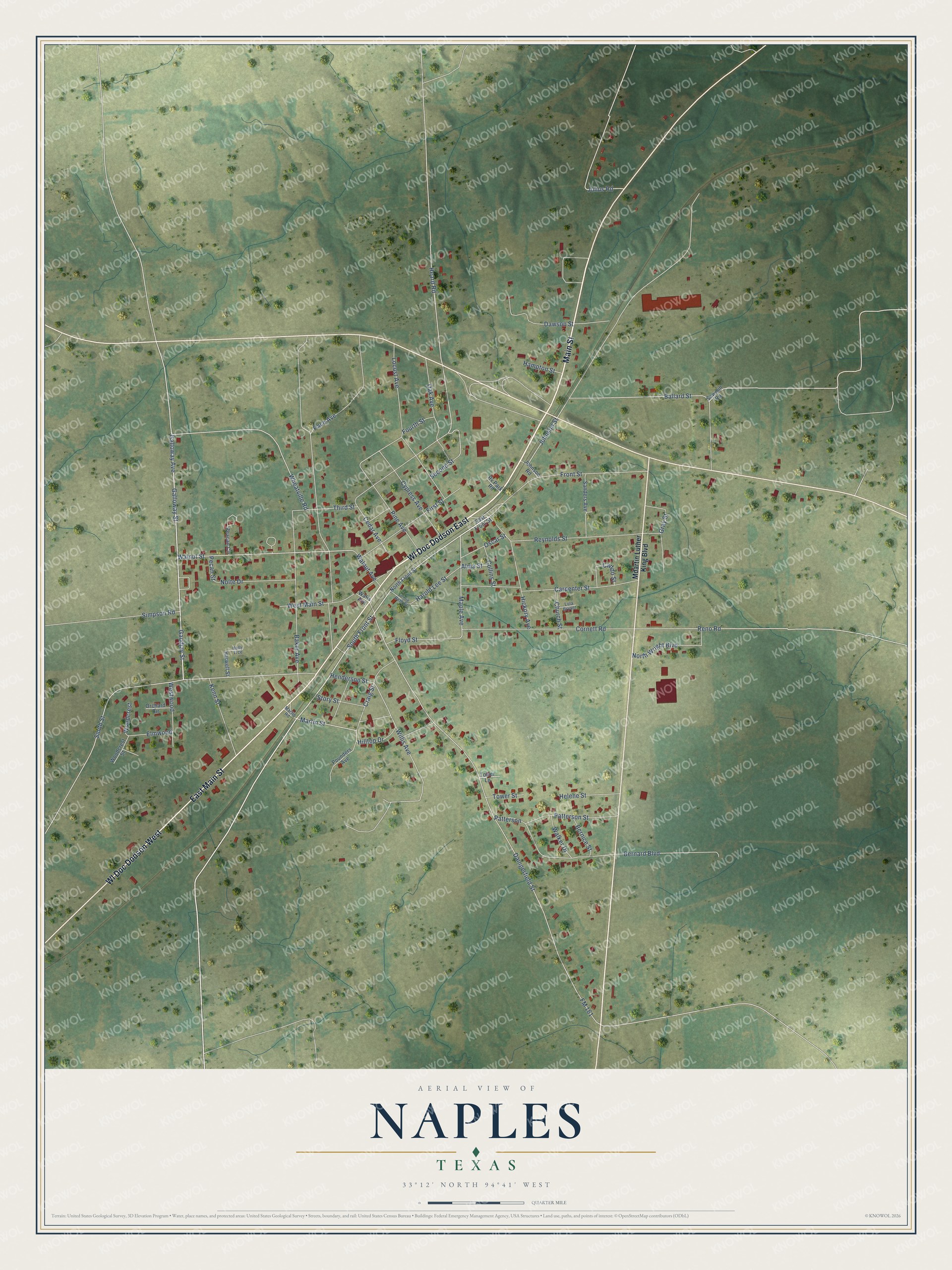 Watermarked full-map preview of Naples, Texas