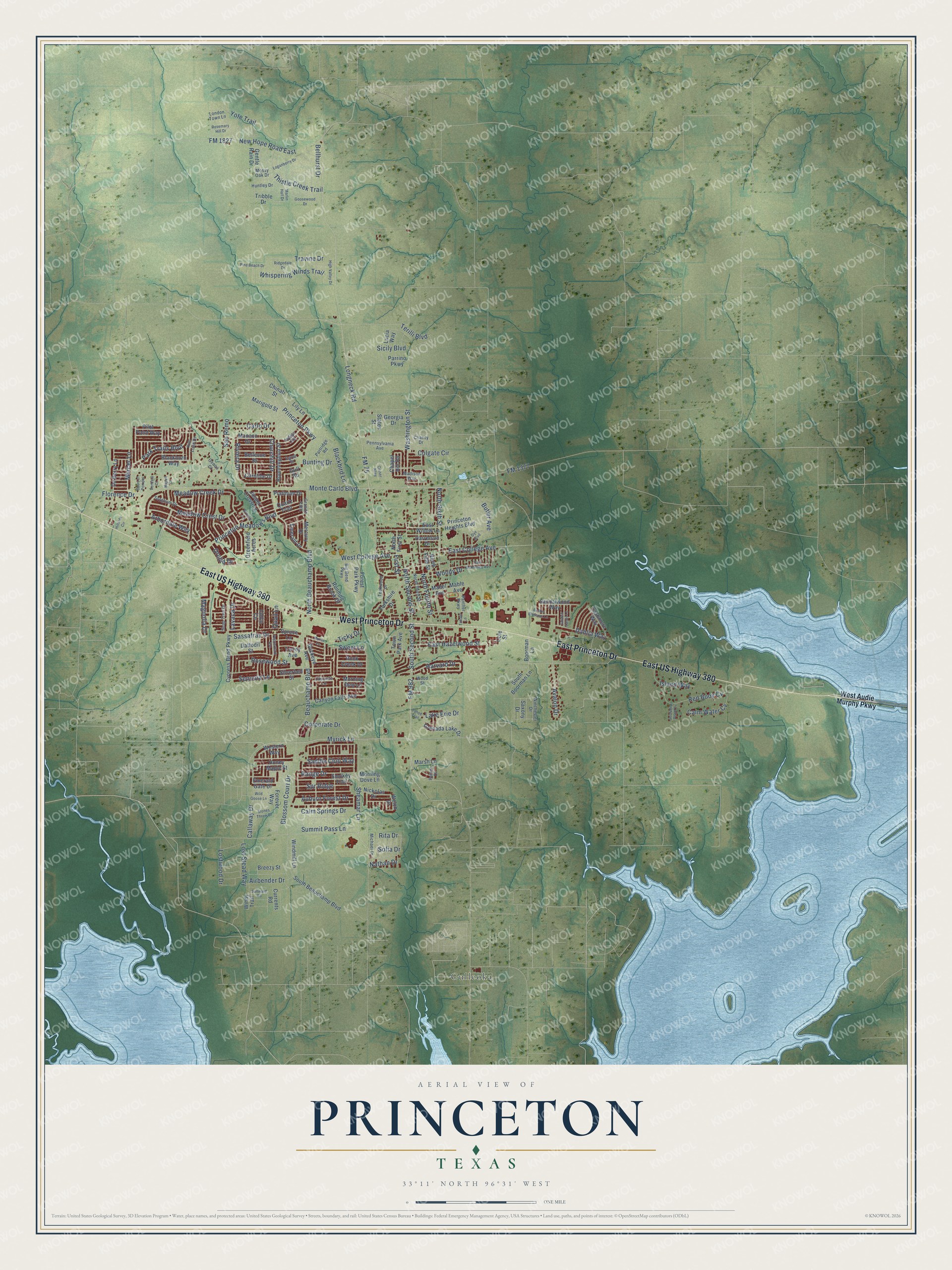 Watermarked full-map preview of Princeton, Texas