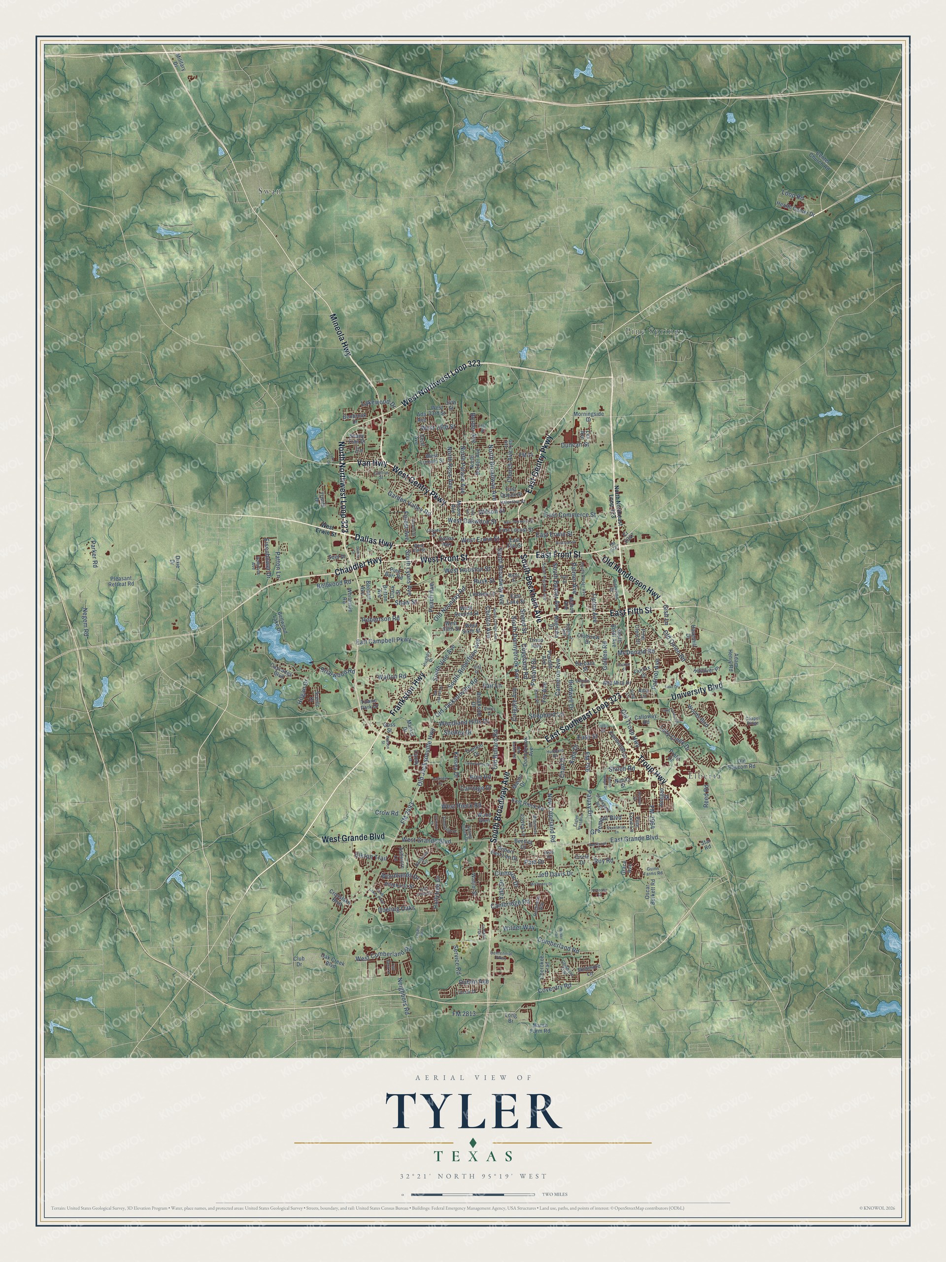 Watermarked full-map preview of Tyler, Texas