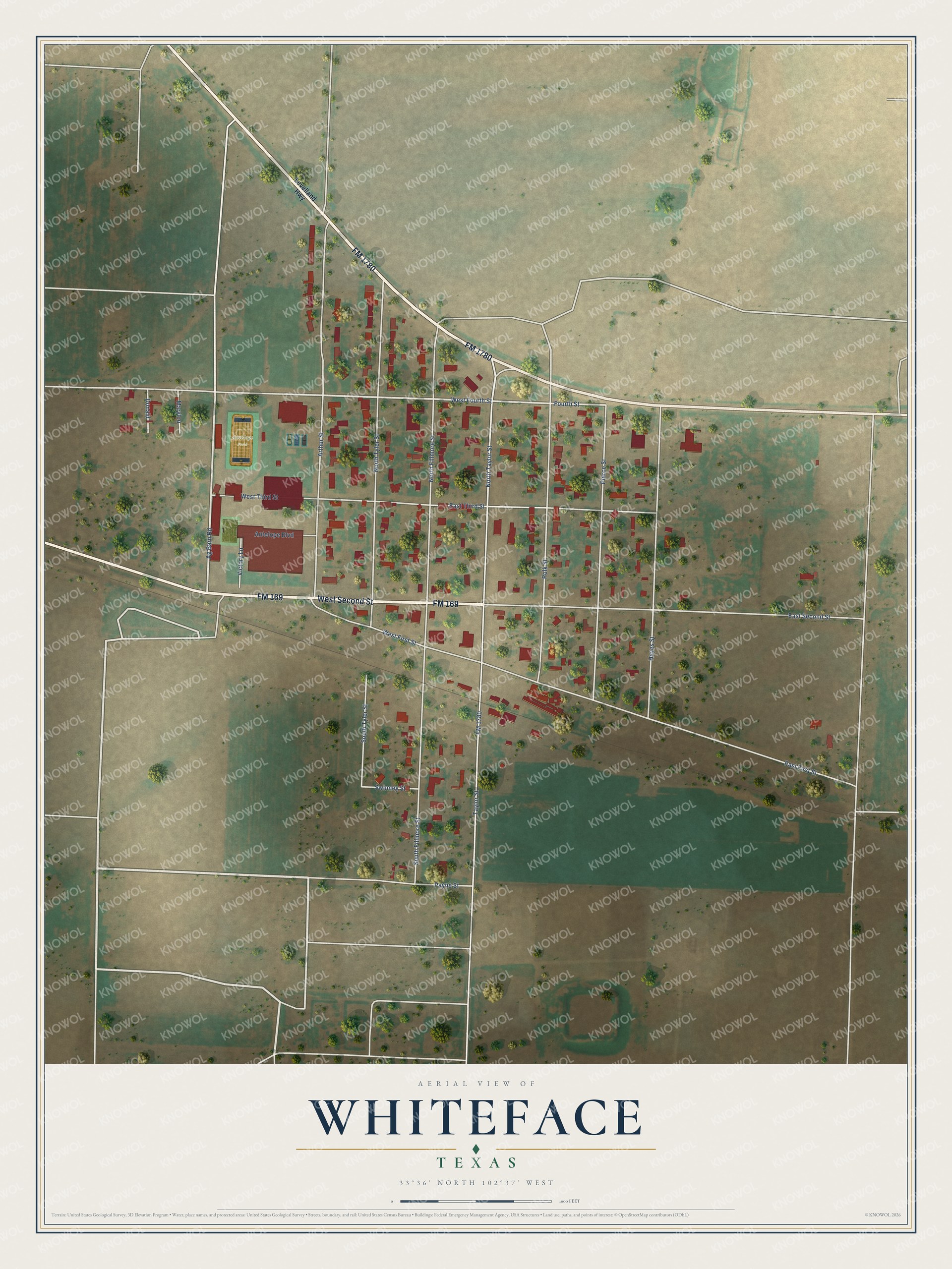 Watermarked full-map preview of Whiteface, Texas